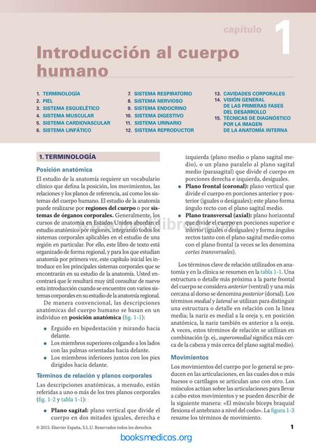 Introducción al Cuerpo Humano 