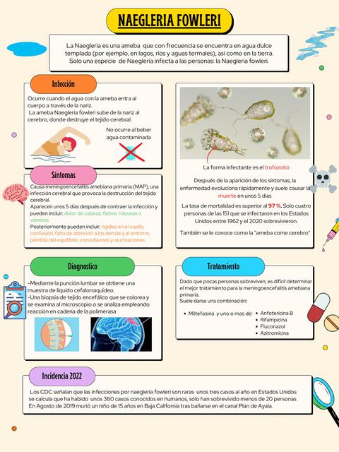 Naegleria Fowleri- Ameba Comecerebros