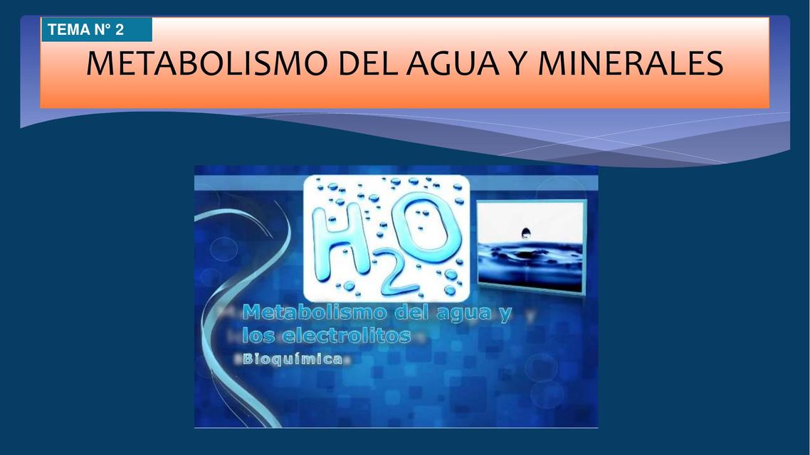 Metabolismo del agua y minerales 