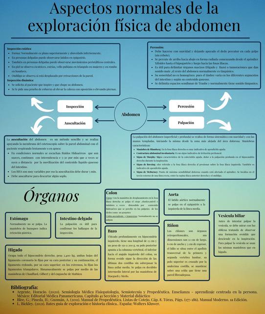 Aspectos normales de la exploración física de abdomen | Solano Davalos ...