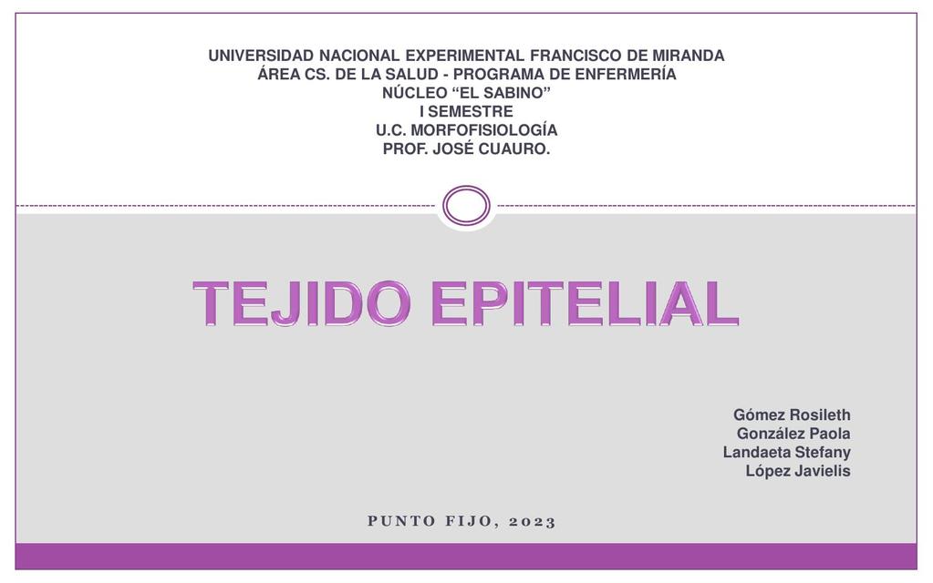 Tejido epitelial 