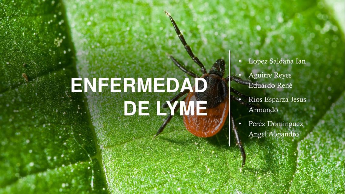 Enfermedad de LYME 