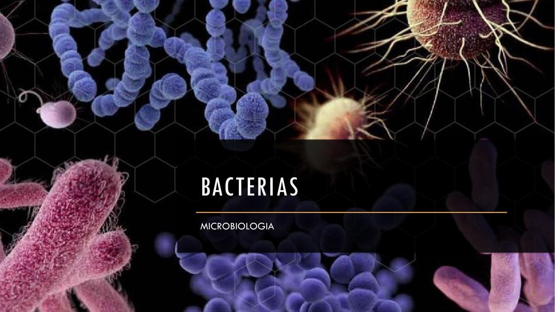 Bacterias 