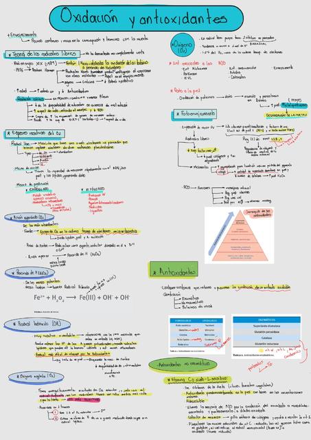 Oxidación y Antioxidantes 