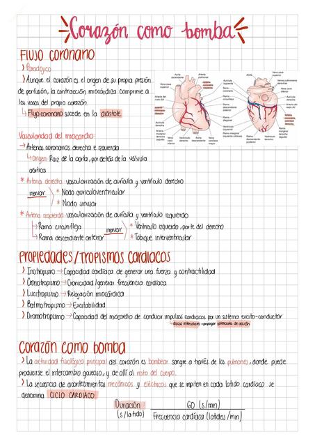 Corazón como Bomba