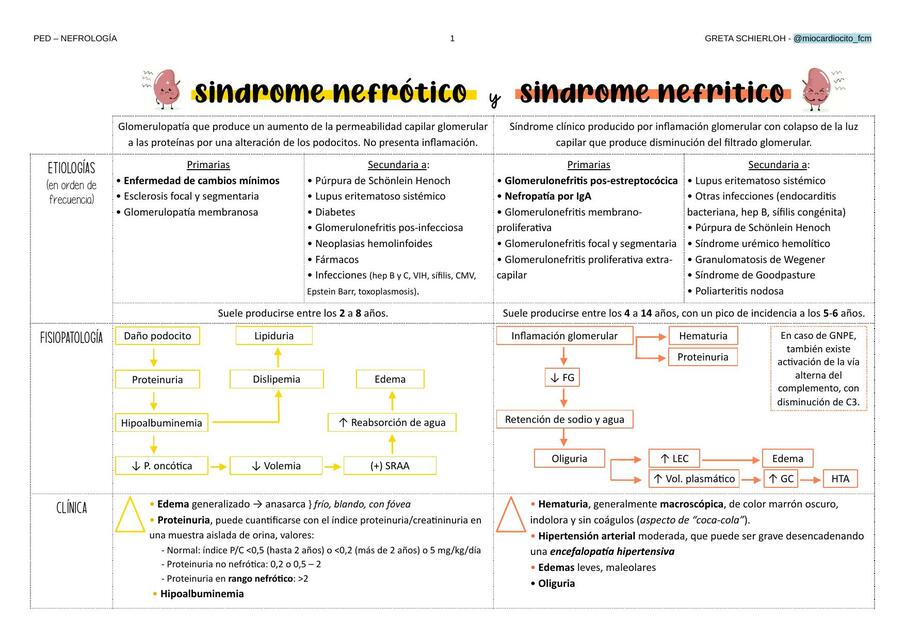 Síndrome Nefrótico y Síndrome Nefrítico