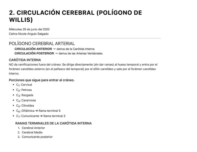 Circulación Cerebral (Polígono de Willis)