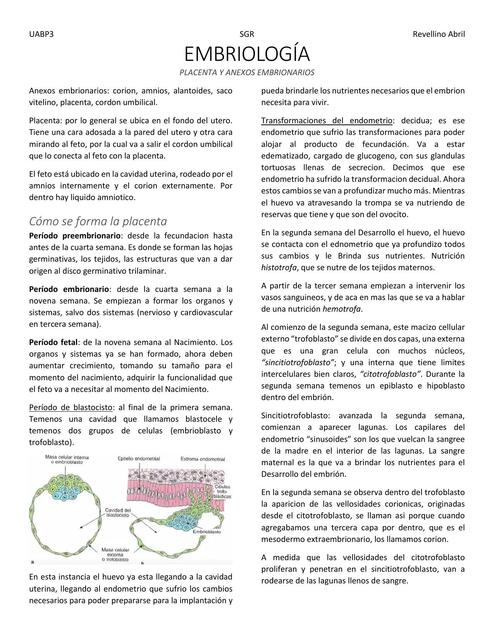 Embriología de Placenta y Anexos Embrionarios