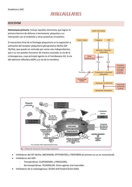 Anticoagulantes 