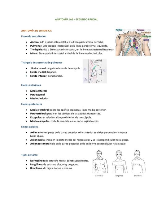 Anatomía de Superficie 