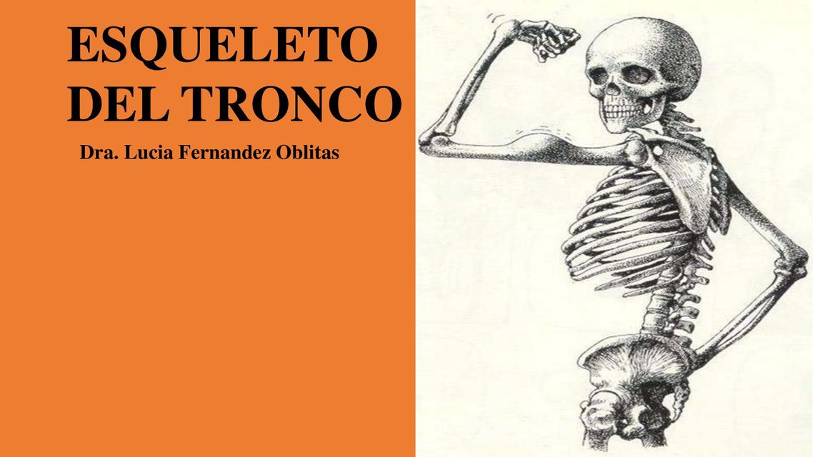 Esqueleto del tronco 