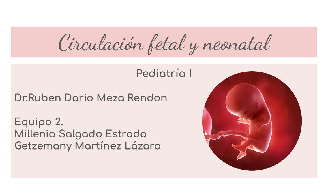 Circulación Fetal y Neonatal