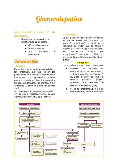 Glomerulopatías