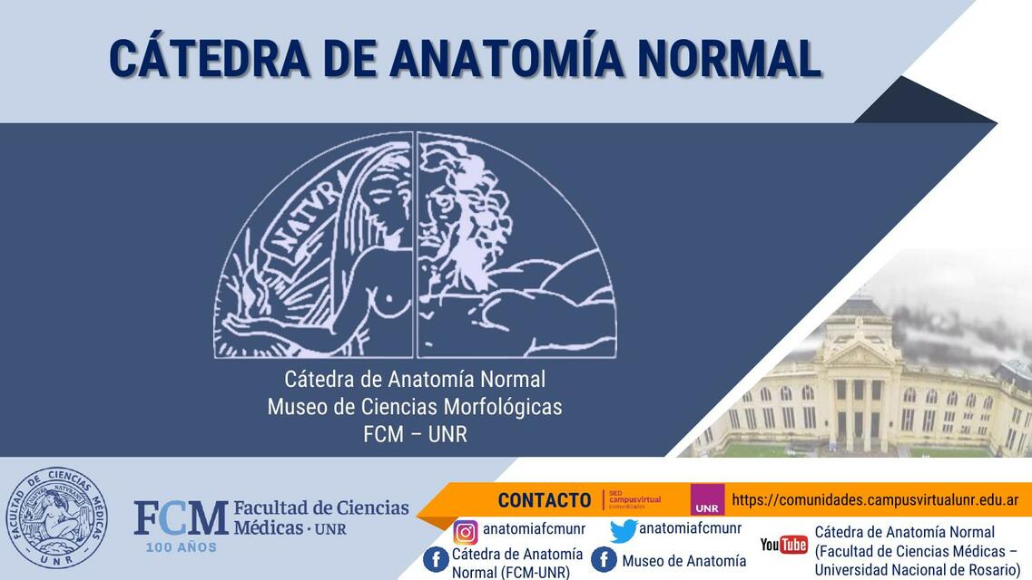 Generalidades de anatomía 