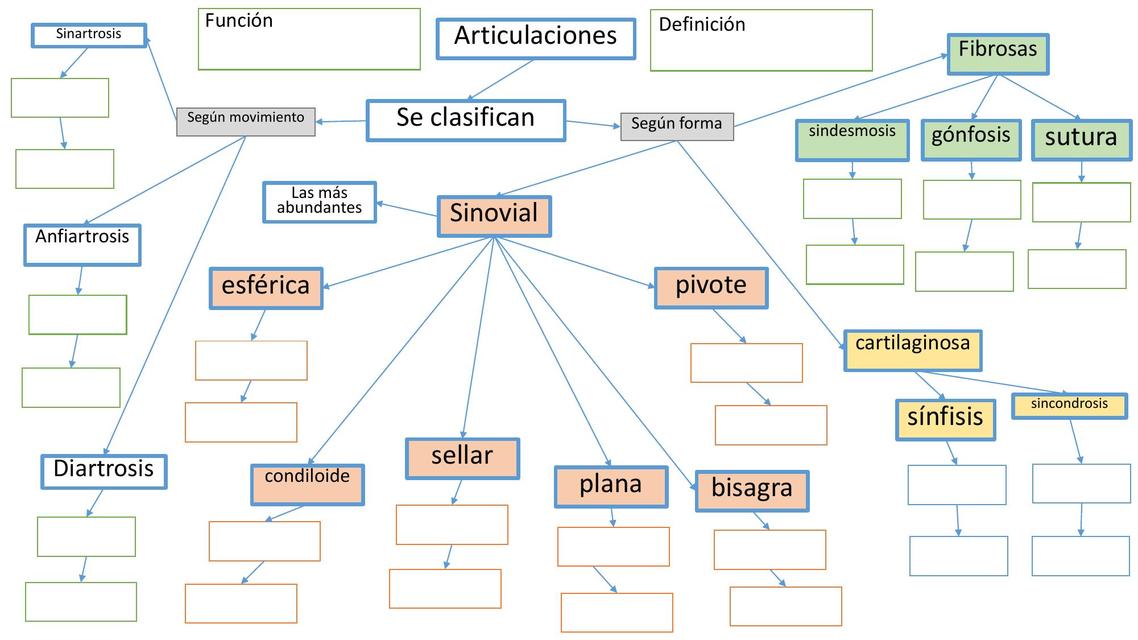 Clasificación de las articulaciones  