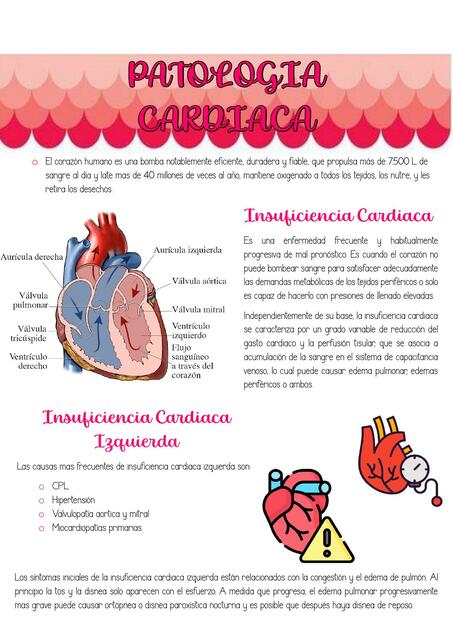 Patología  Cardiaca 