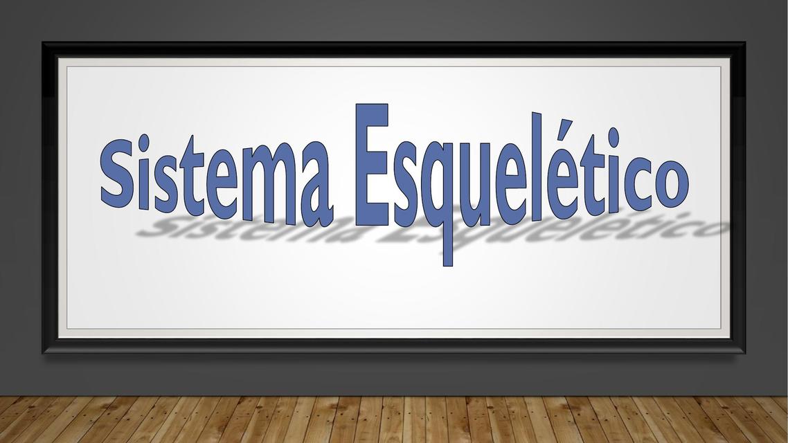 Sistema Esquelético  