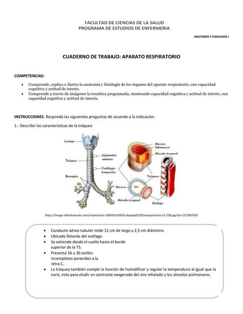 Aparato respiratorio 