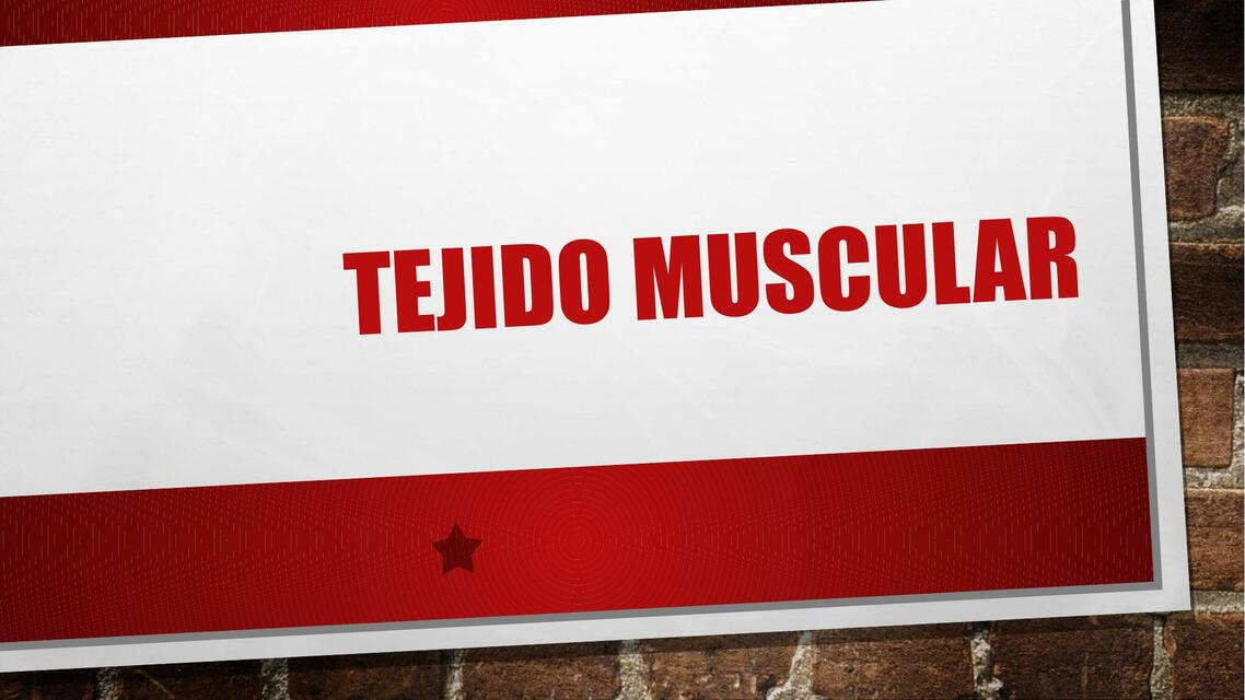 Tejido muscular