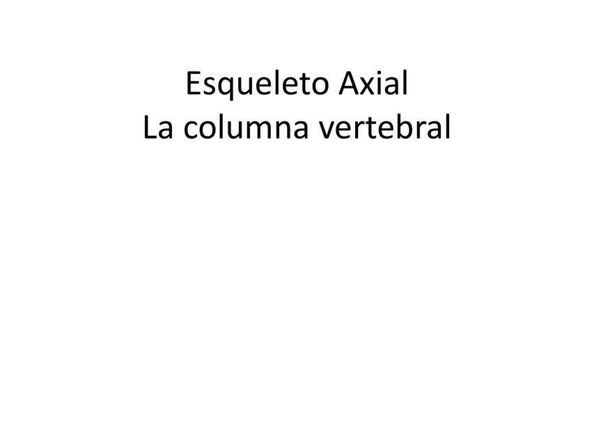 Esqueleto Axial