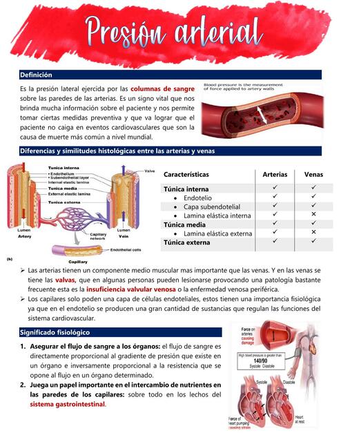 Presión arterial