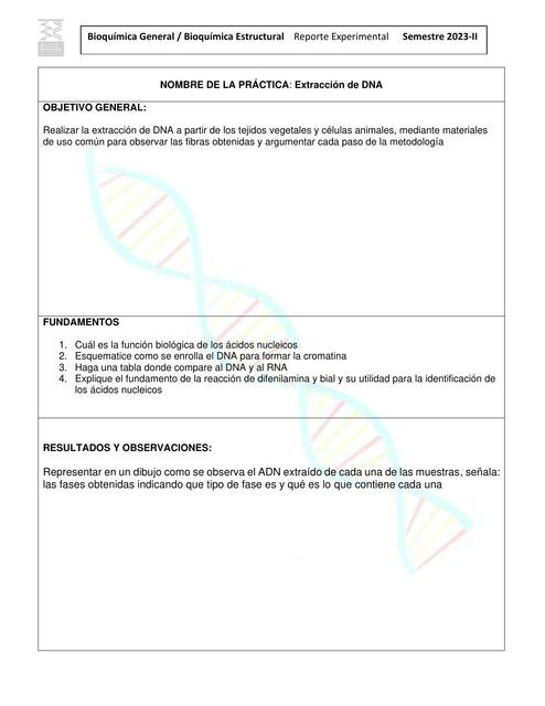 Extracción de DNA 