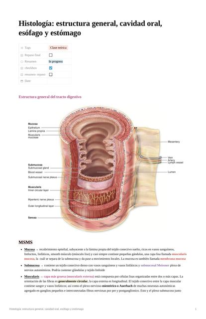 Histología: estructura general, cavidad oral, esófago y estómago