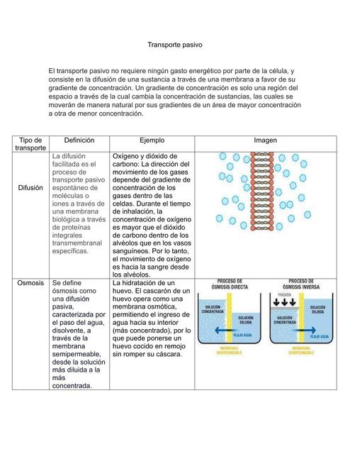 Transporte pasivo