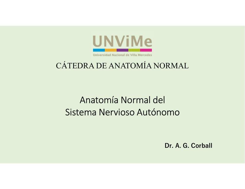 Anatomía normal del sistema nervioso autónomo