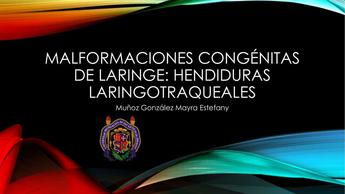 Hendiduras Laringotraqueales