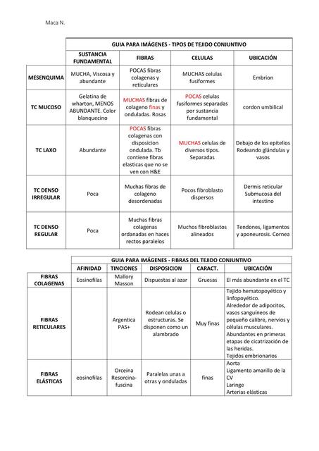 Histología- Repaso Tejido Conectivo