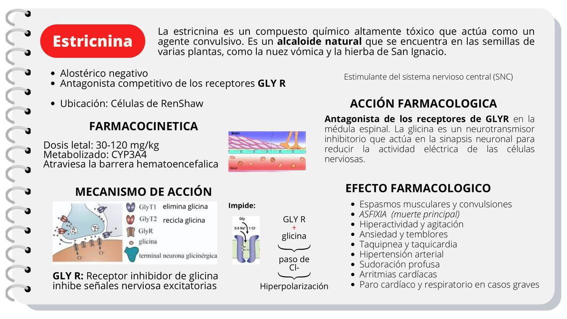 Farmacología de la ESTRICNINA (FLASHCARD)