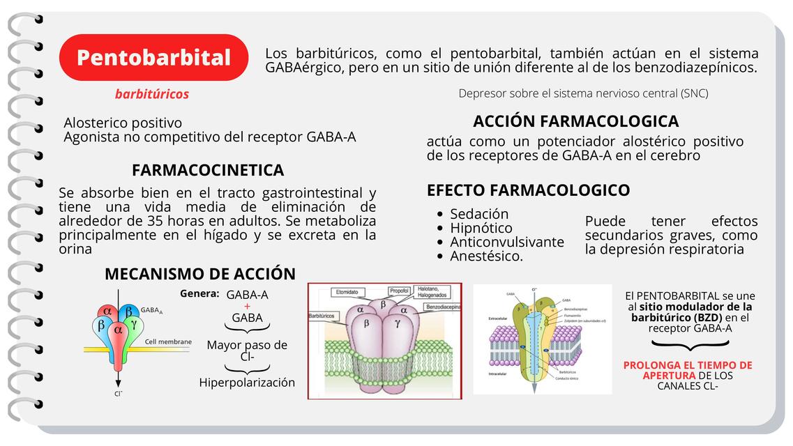 Farmacología del PENTOBARBITAL (FLASHCARD)