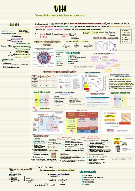 VIH Resumen