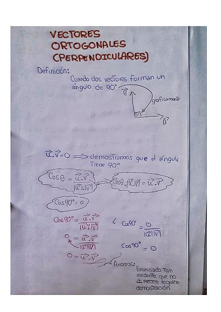 Vectores Ortogonales 