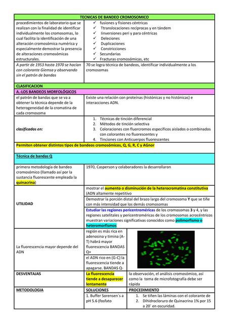 Técnicas de bandeo cromosómico