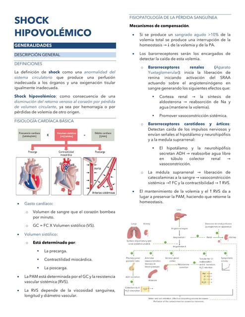 Shock Hipovolémico