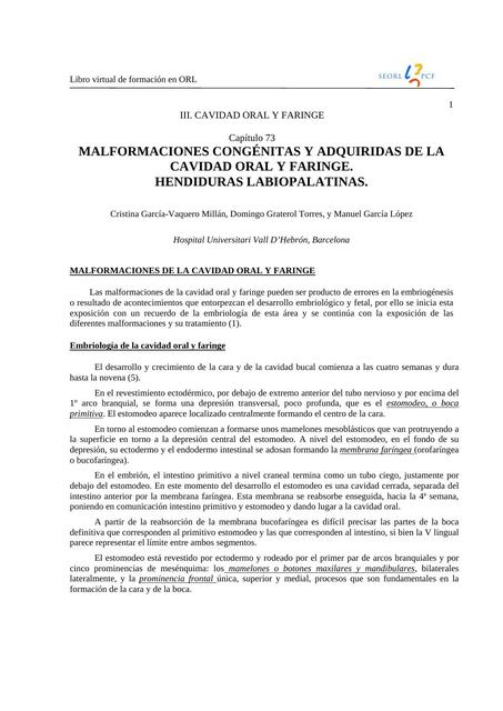 Malformaciones Congénitas y Adquiridas de la Cavidad Oral y Faringe. Hendiduras Labiopalatinas 