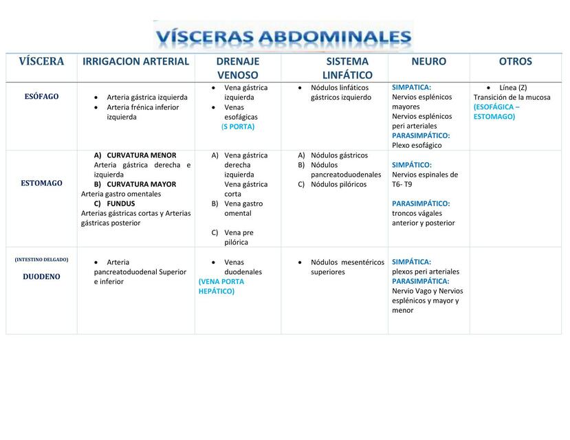 Vísceras Abdominales 