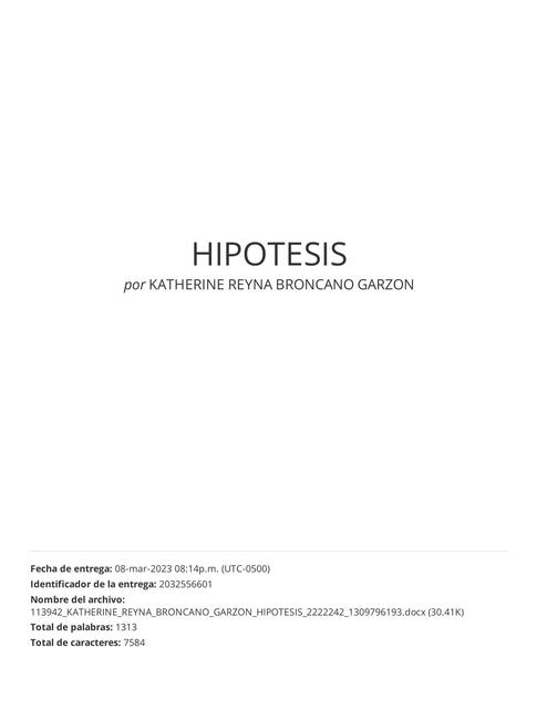 Hipótesis 