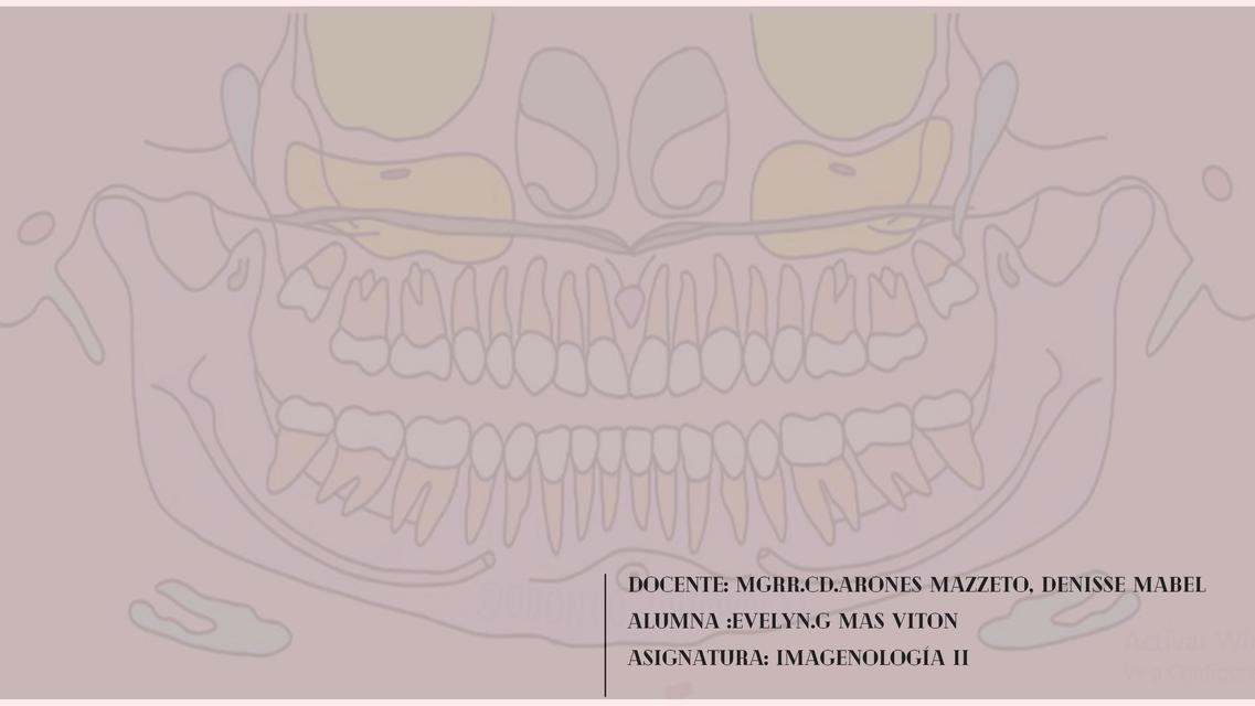 Identificación de las estructura anatómicas 