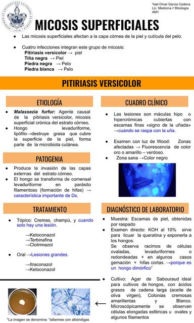 Micosis superficiales   