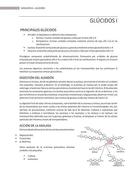 RESUMEN GLÚCIDOS I 