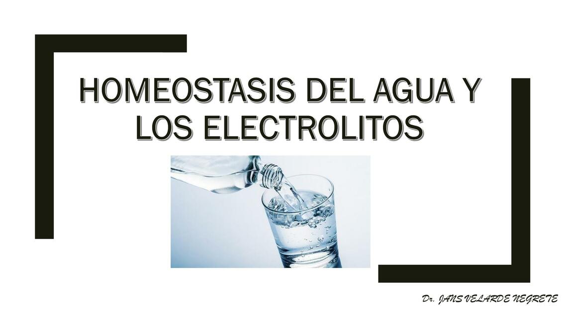 Homeostasis del Agua y los Electrolitos 