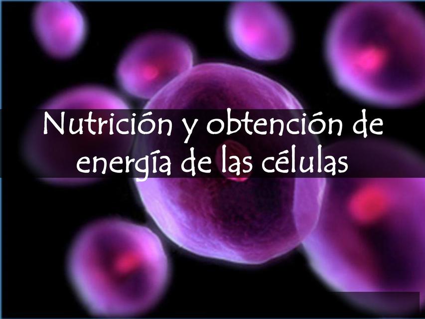 Nutrición y obtención de energía de las células  