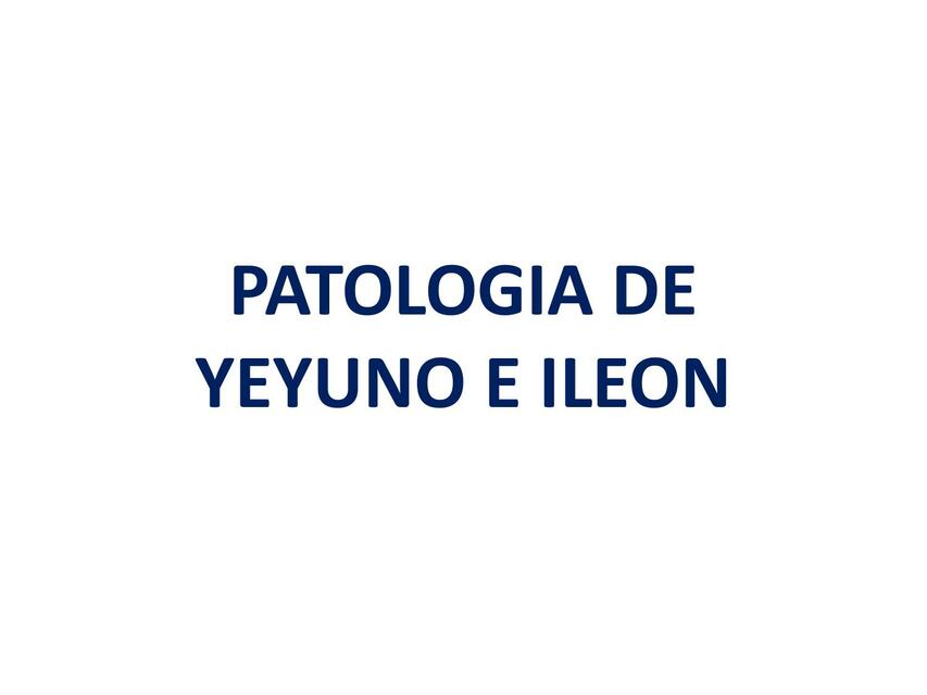 Patología  De Yeyuno  E Íleon 