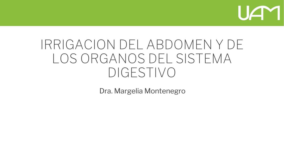 Irrigación del Abdomen y los Órganos del Sistema