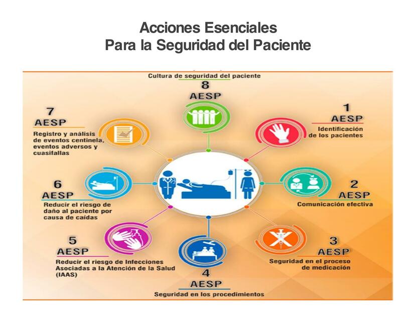 Acciones Esenciales Para La Seguridad Del Paciente Marcela Udocz 3190