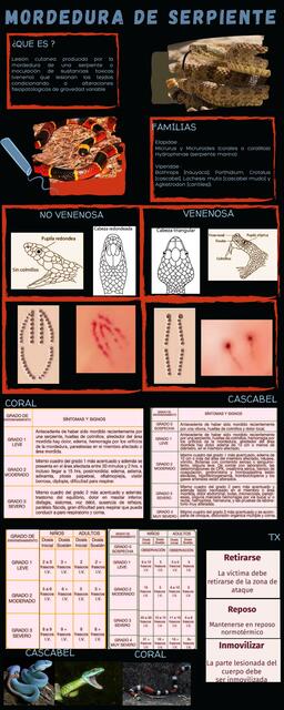 Mordedura de Serpiente