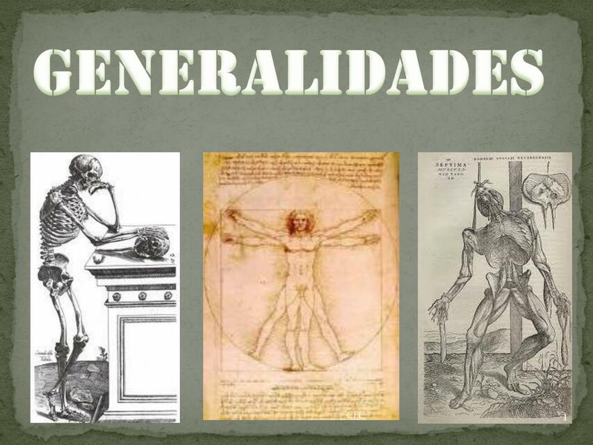 Generalidades